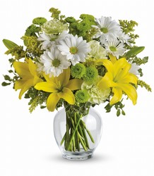 Brightly Blooming from Clermont Florist & Wine Shop, flower shop in Clermont